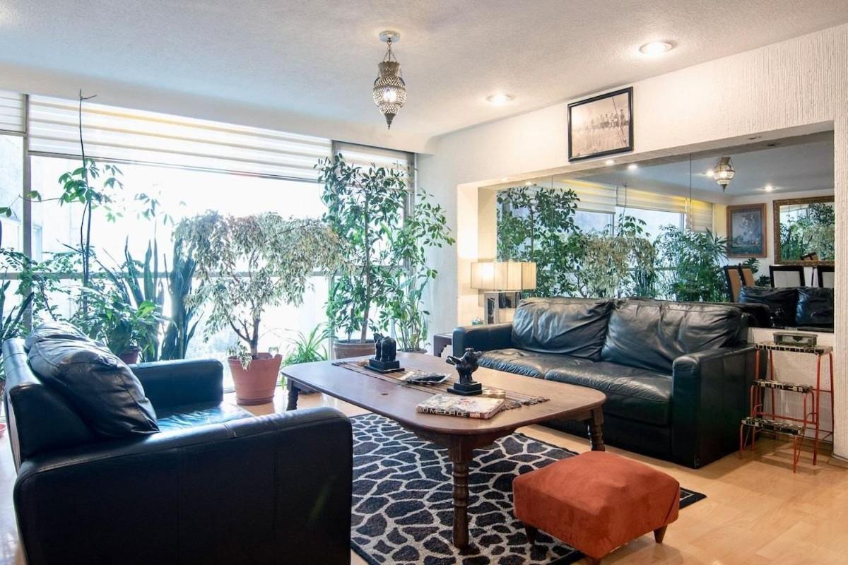 Eclectic Jungle: 4 Bedrooms In Beautifull Polanco Мехіко Екстер'єр фото